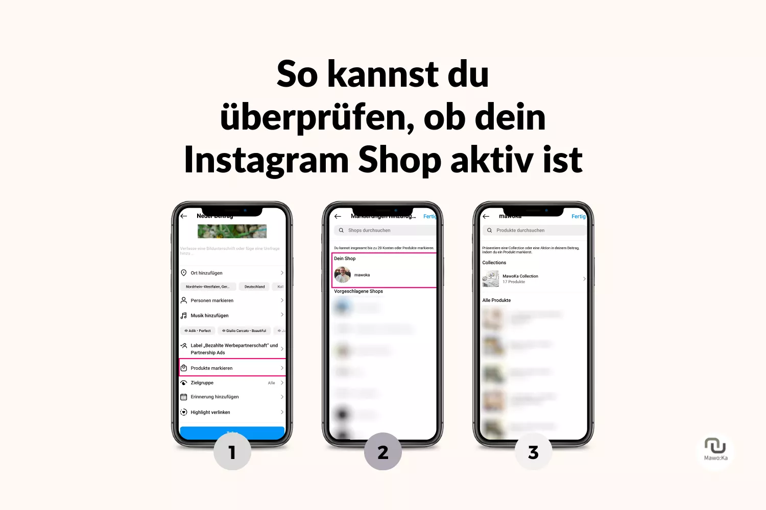 Darstellung der vorgenannten Schritte zur Überprüfung der Aktivität des Instagram Shops